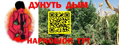 стафф Партизанск