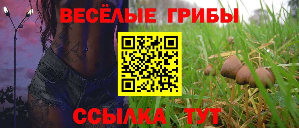 Псилоцибиновые грибы MAGIC MUSHROOMS Симферополь